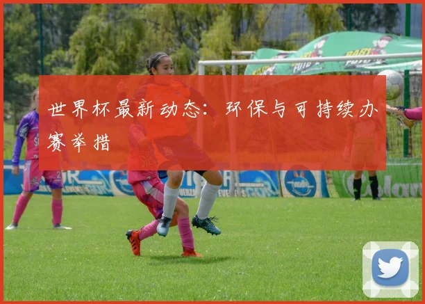 世界杯最新动态:环保与可持续办赛举措
