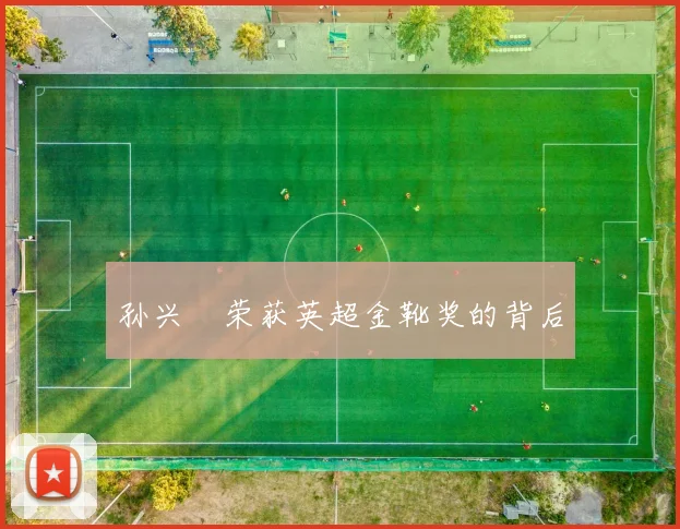 孙兴慜荣获英超金靴奖的背后