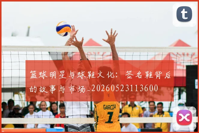 篮球明星与球鞋文化：签名鞋背后的故事与市场_20260523113600